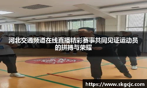 河北交通频道在线直播精彩赛事共同见证运动员的拼搏与荣耀