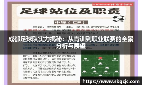 成都足球队实力揭秘：从青训到职业联赛的全景分析与展望