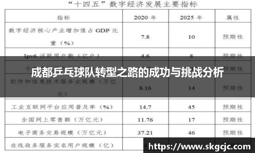 成都乒乓球队转型之路的成功与挑战分析