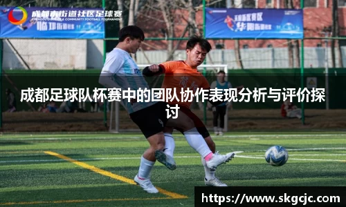 成都足球队杯赛中的团队协作表现分析与评价探讨