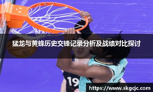 猛龙与黄蜂历史交锋记录分析及战绩对比探讨